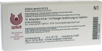 ARTERIA RENALIS GL D 5 Ampullen