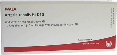 ARTERIA RENALIS GL D 10 Ampullen