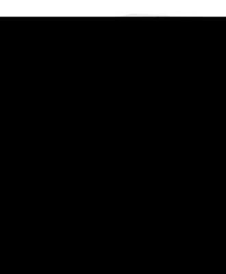 CHININUM SULFURICUM D 4 Globuli