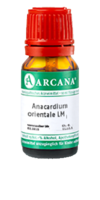 ANACARDIUM ORIENTALE LM 25 Dilution