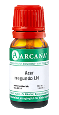 ACER negundo LM 8 Dilution