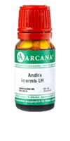 ANDIRA inermis LM 3 Dilution